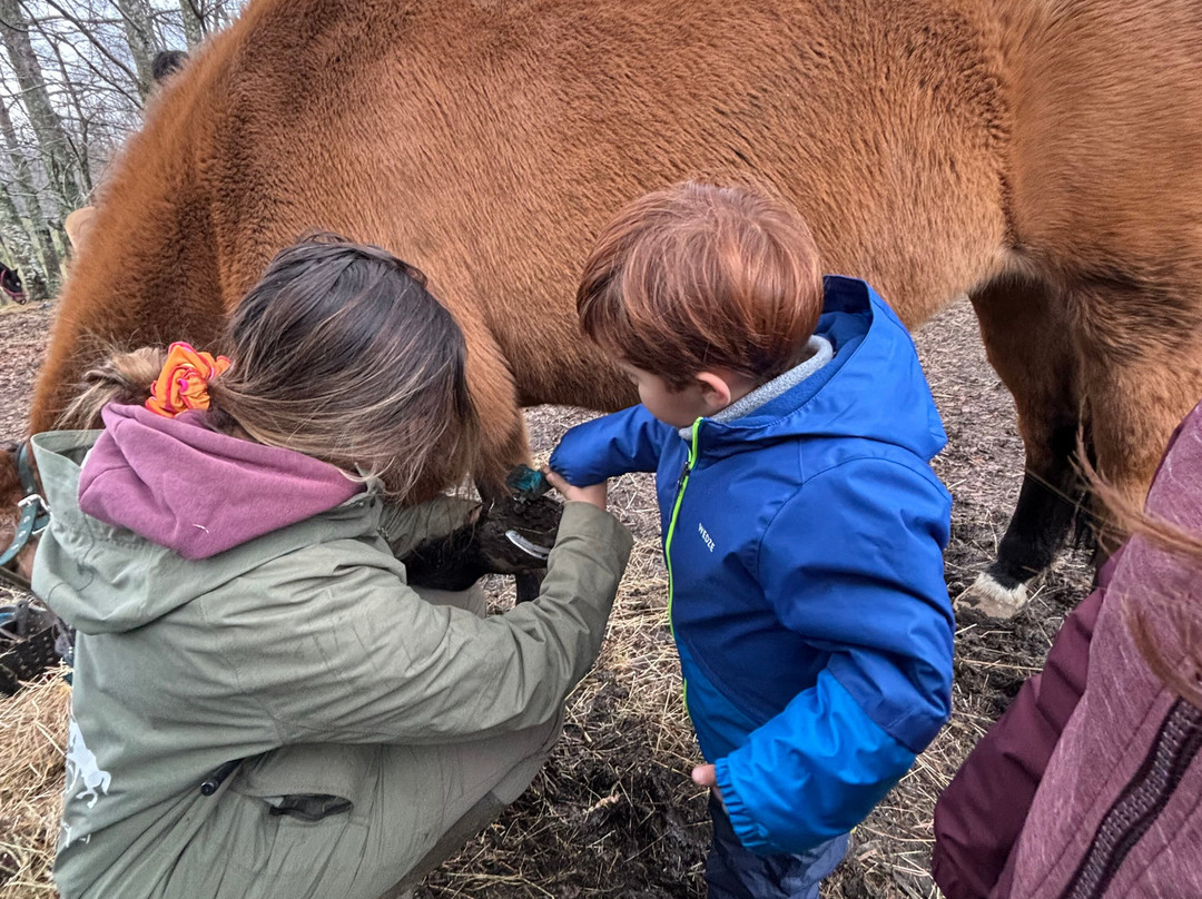 Alma Equina Pucon-普孔必去景点