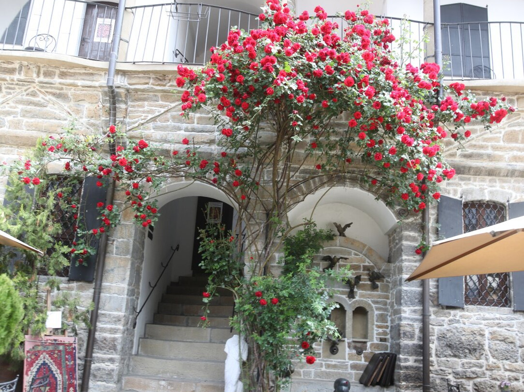 Hadji Nikoli Inn Museum Art Gallery-大特尔诺沃必去景点