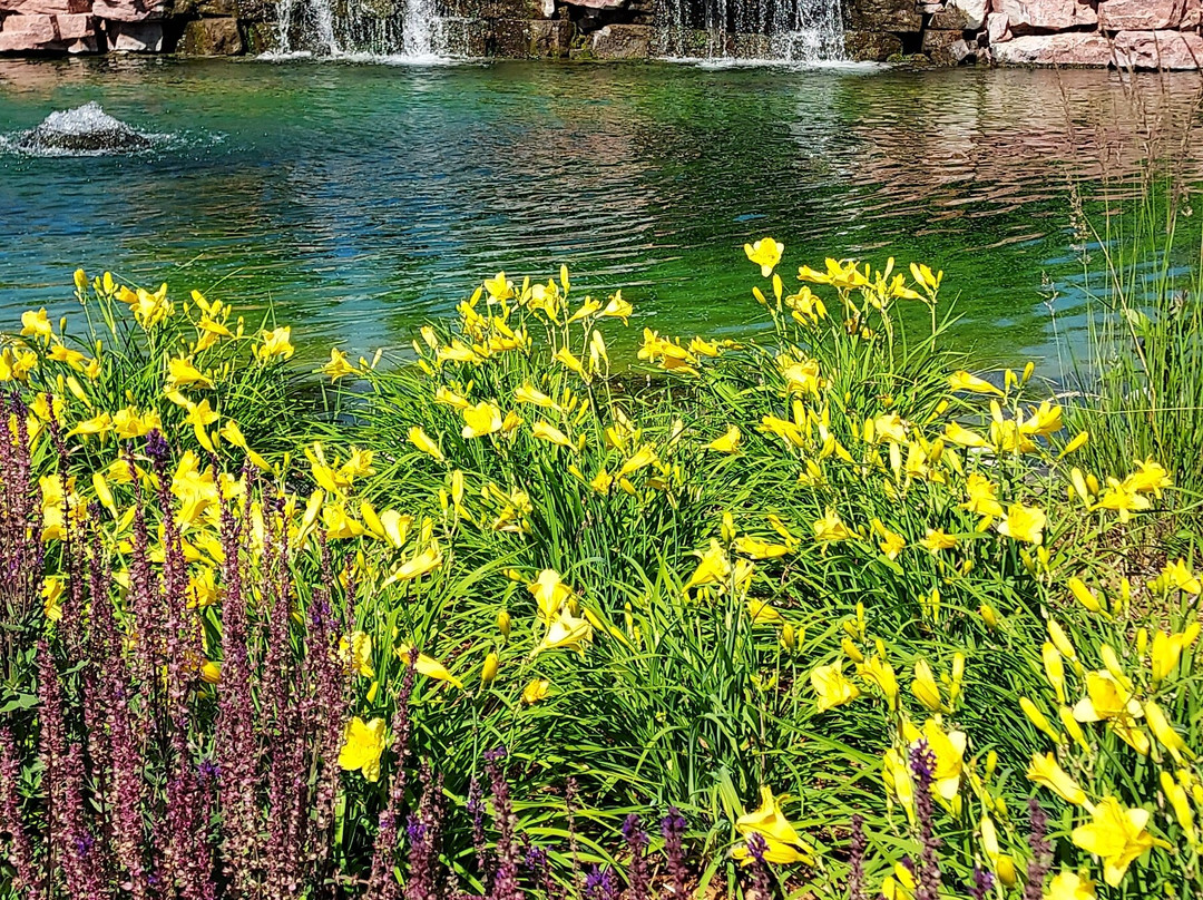 Mary Jo Wegner Arboretum-苏福尔斯必去景点