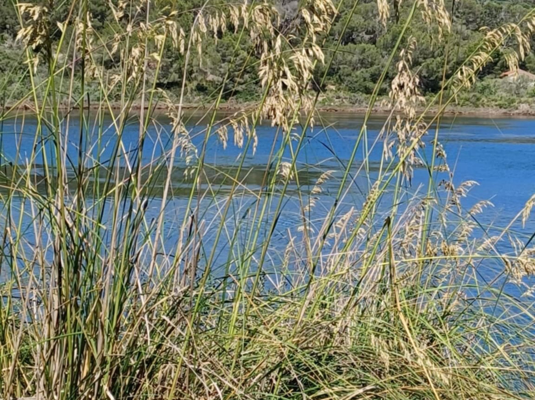 Saline Dell'addaia