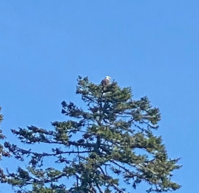 Seascape Kayak Tours Inc.-Deer Island必去景点