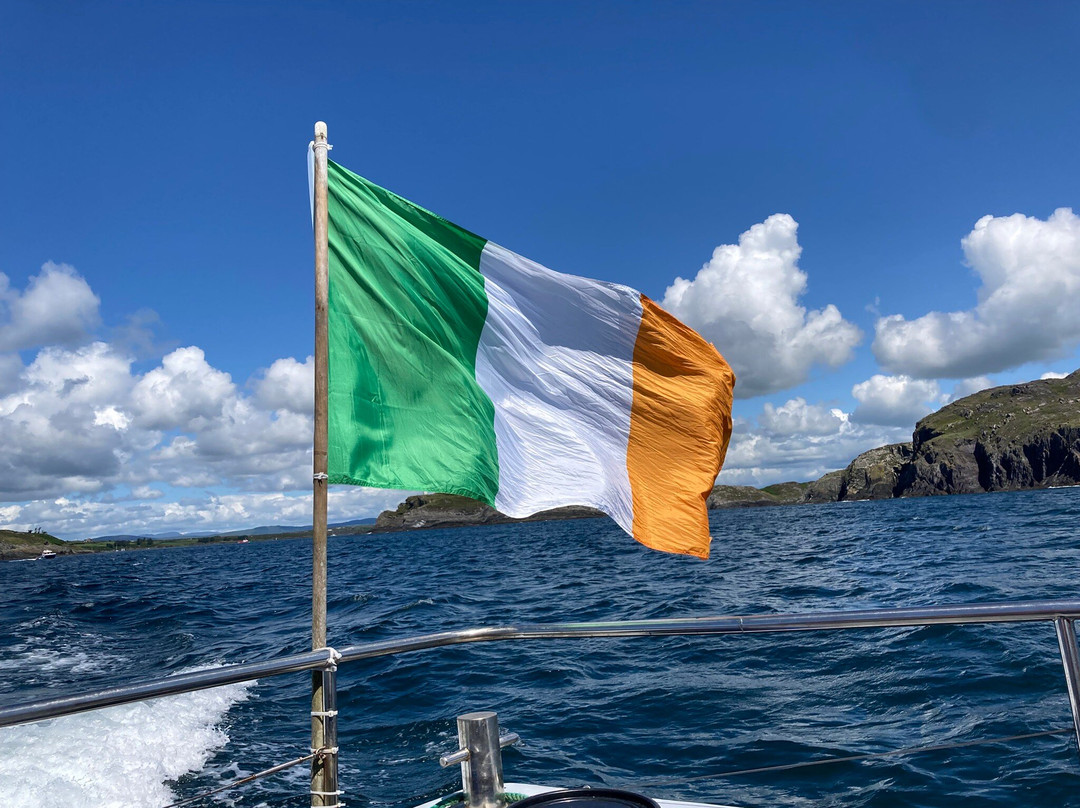 Whale Watch West Cork-Baltimore必去景点