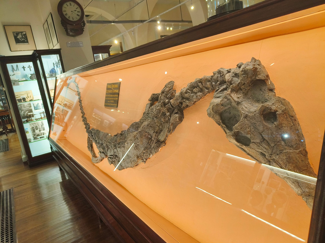 Whitby Museum-惠特比必去景点