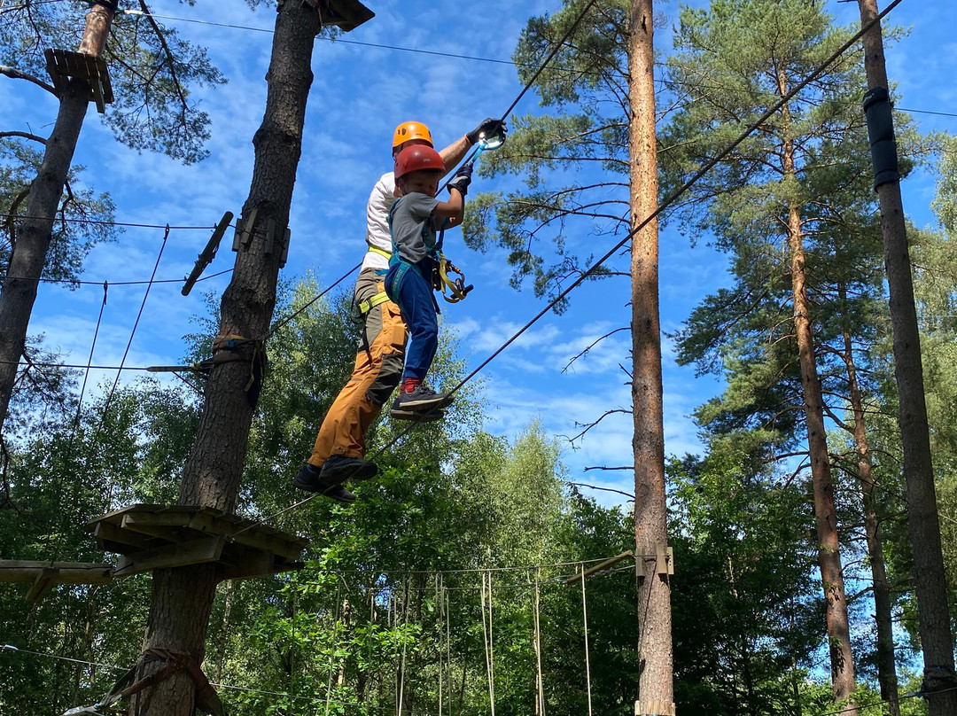 Multilevel Ziplines & Klätterpark-Hassleholm必去景点