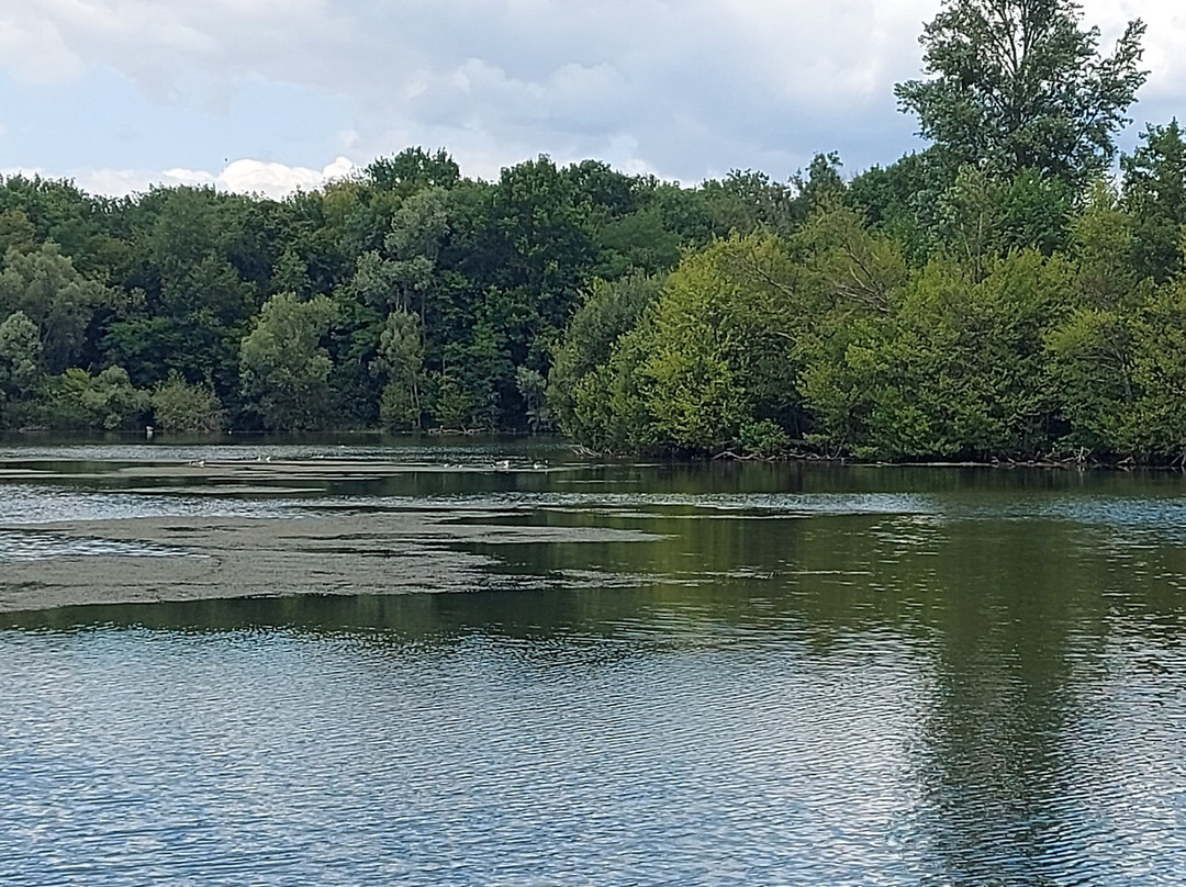 Tacot des Lacs-Grez-sur-Loing必去景点