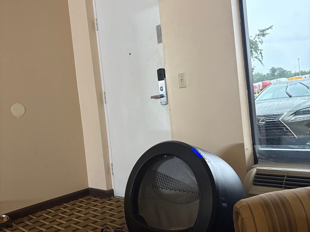 Palms Garden Inn主图