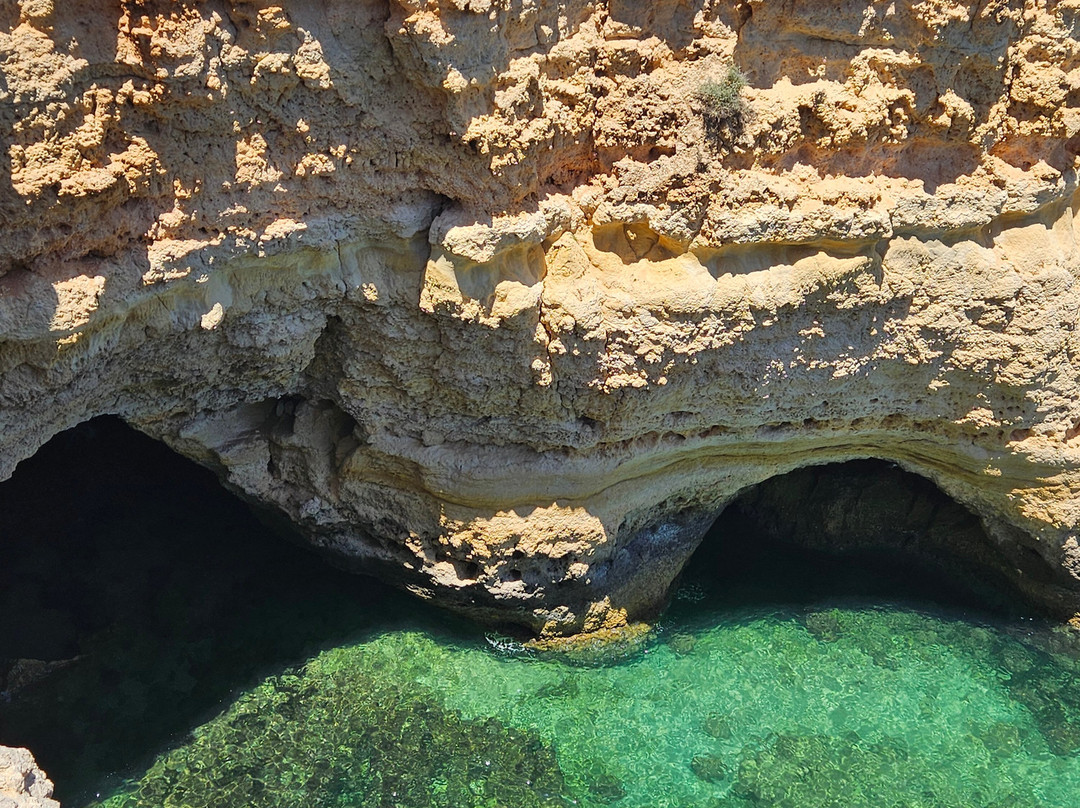 Follow Me Tours-阿尔布赞拉必去景点