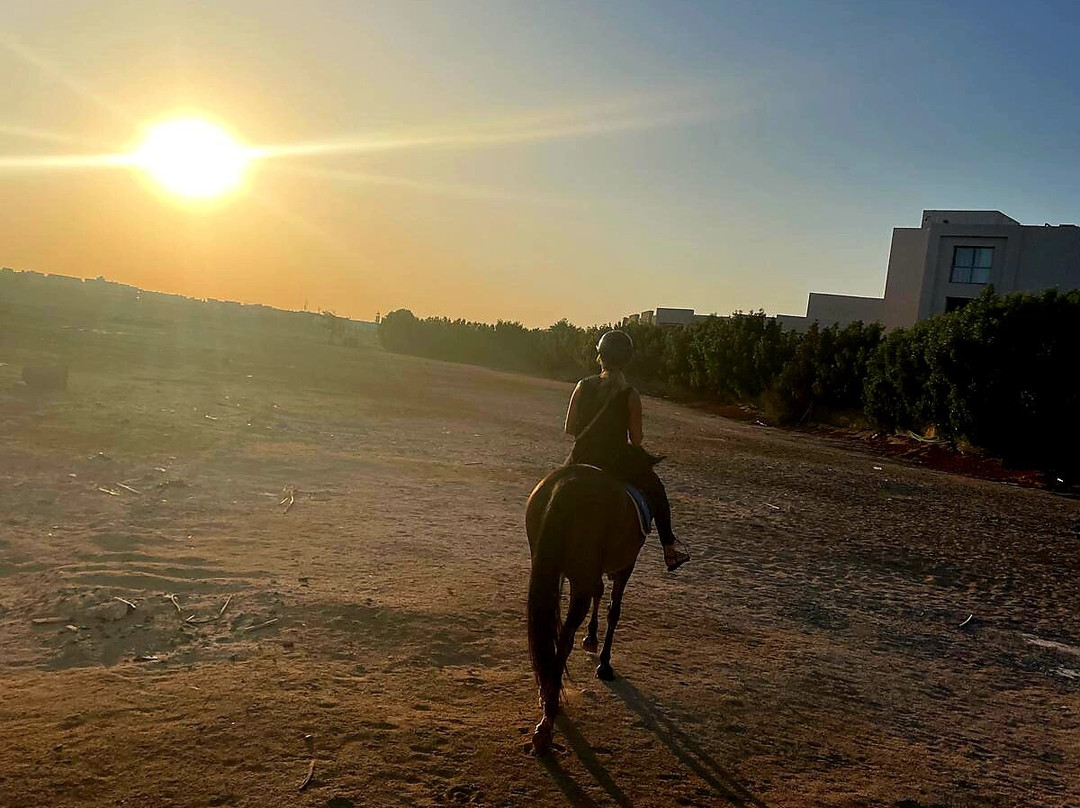 Happy Horse Stable Magawish Horseriding-赫尔格达必去景点