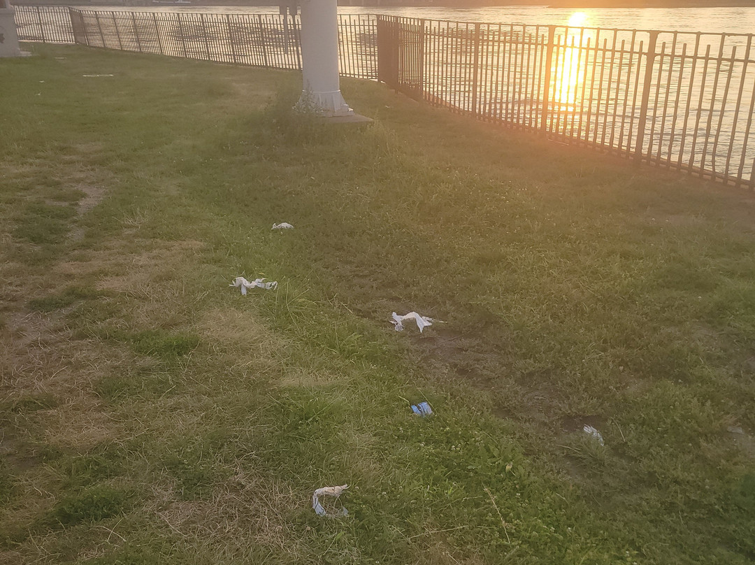 Whitey Ford Field-阿斯托里亚必去景点