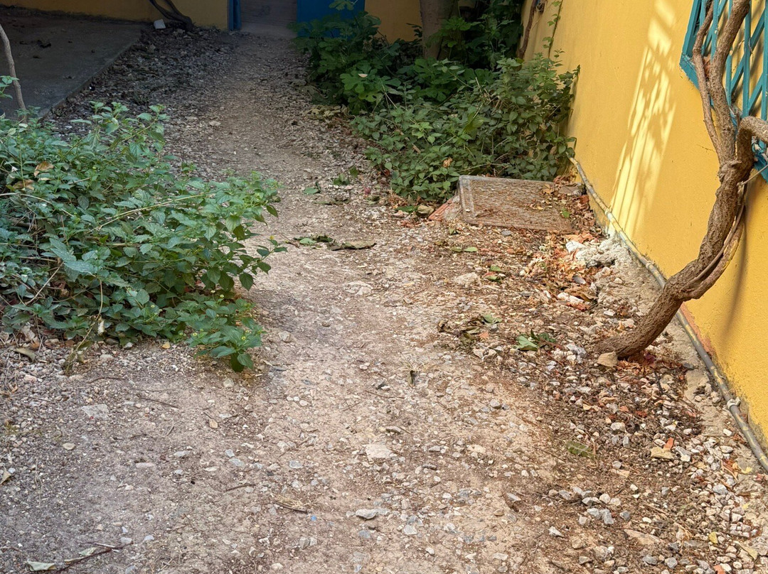 Hotel Saint Catherine主图