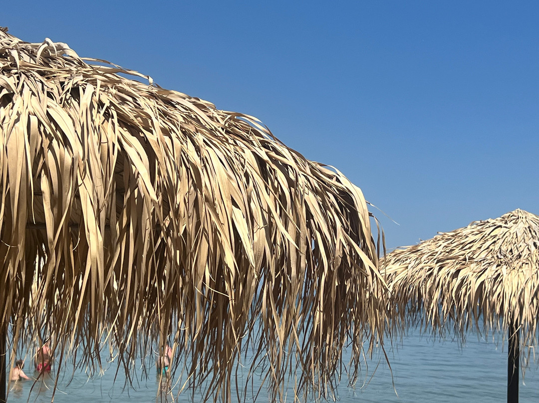 Mitsis Messonghi主图