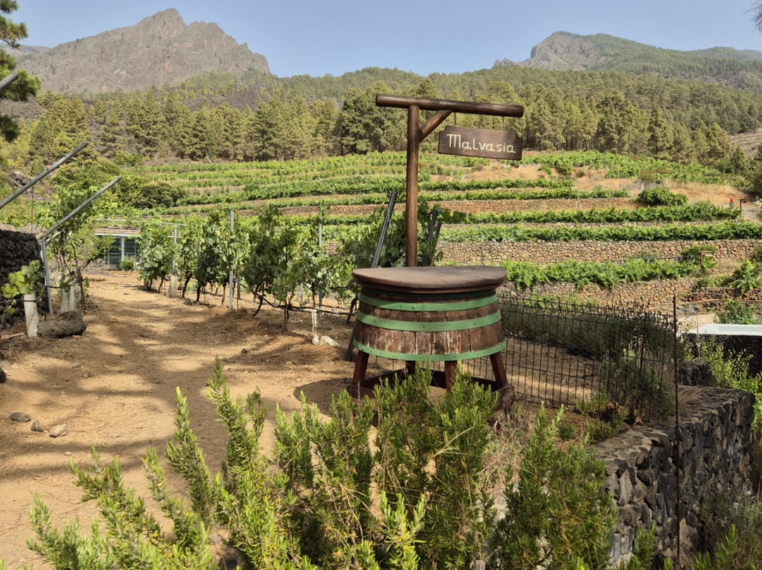 Tenerife 100 Cultures-特纳里夫必去景点