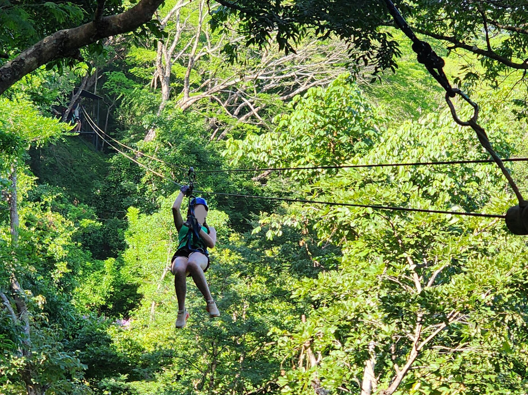 Congo Canopy Tours