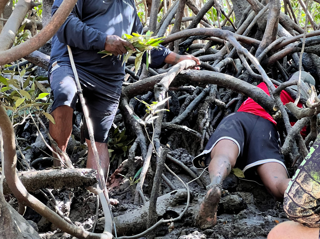 Southern Cross Cultural Tours at Lullumb-Dampier Peninsula必去景点