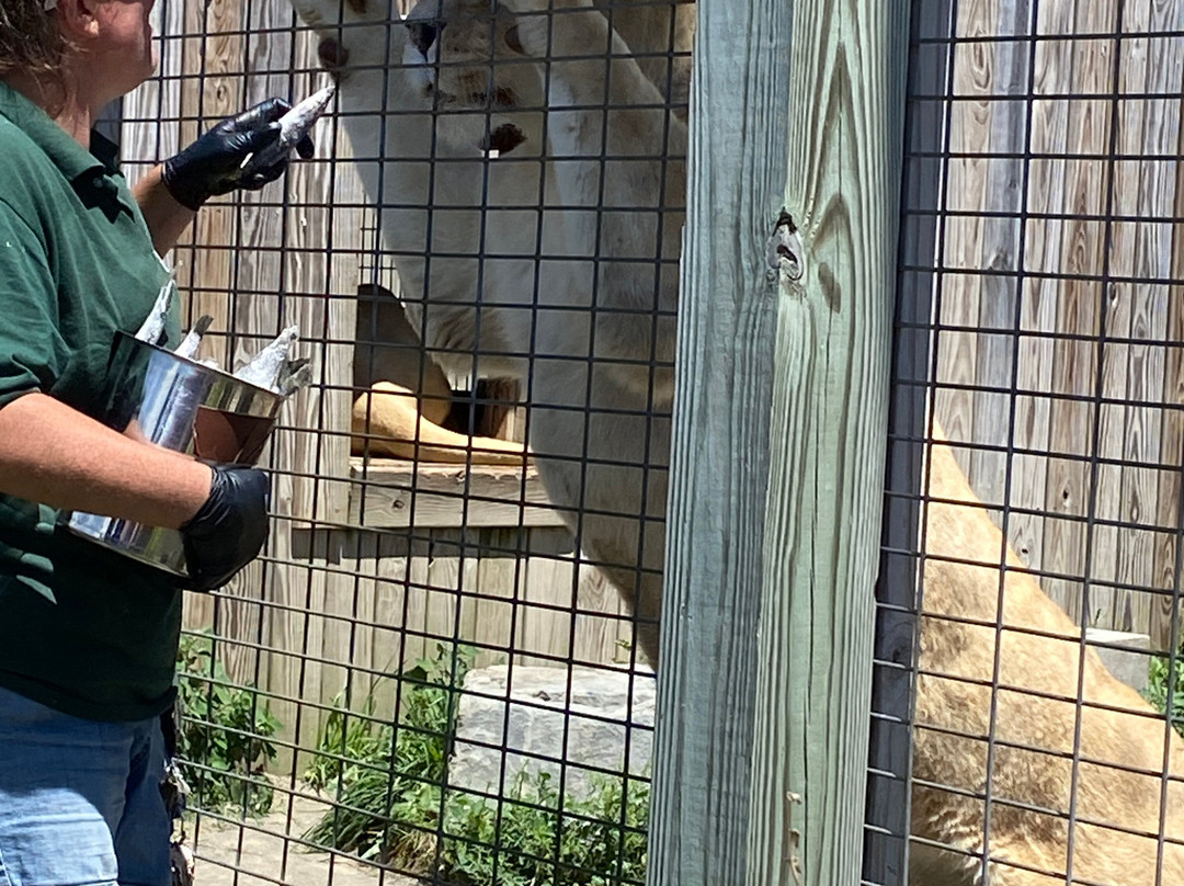 Animal Adventure Park-Harpursville必去景点