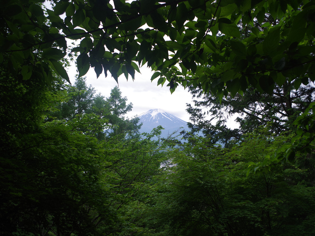 Mt. Fuji Subaru Line 5th Station-鸣泽村必去景点