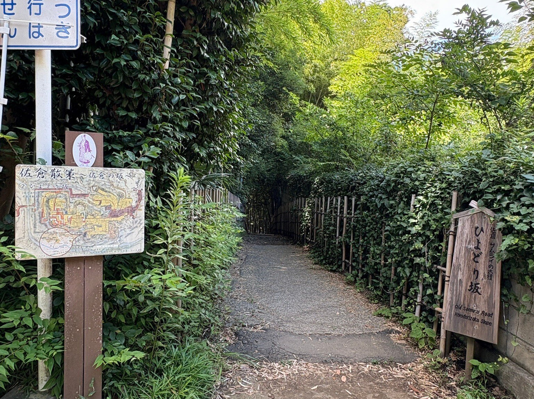 Hiyodori Hill-佐仓市必去景点