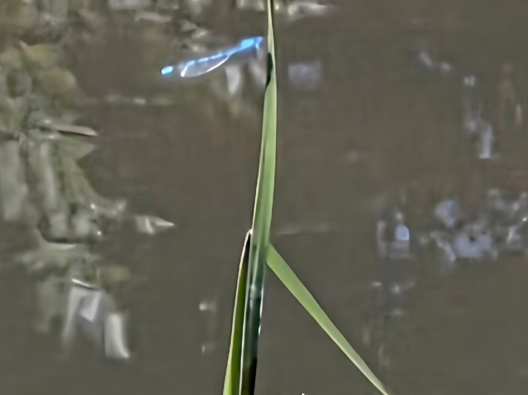 Castle Farm Shop-Shoreham必去景点