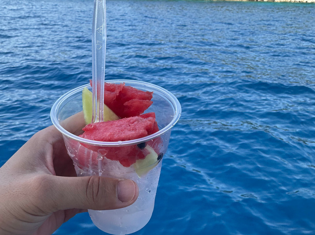 Marilena daily cruises Lefkada-Nidri必去景点