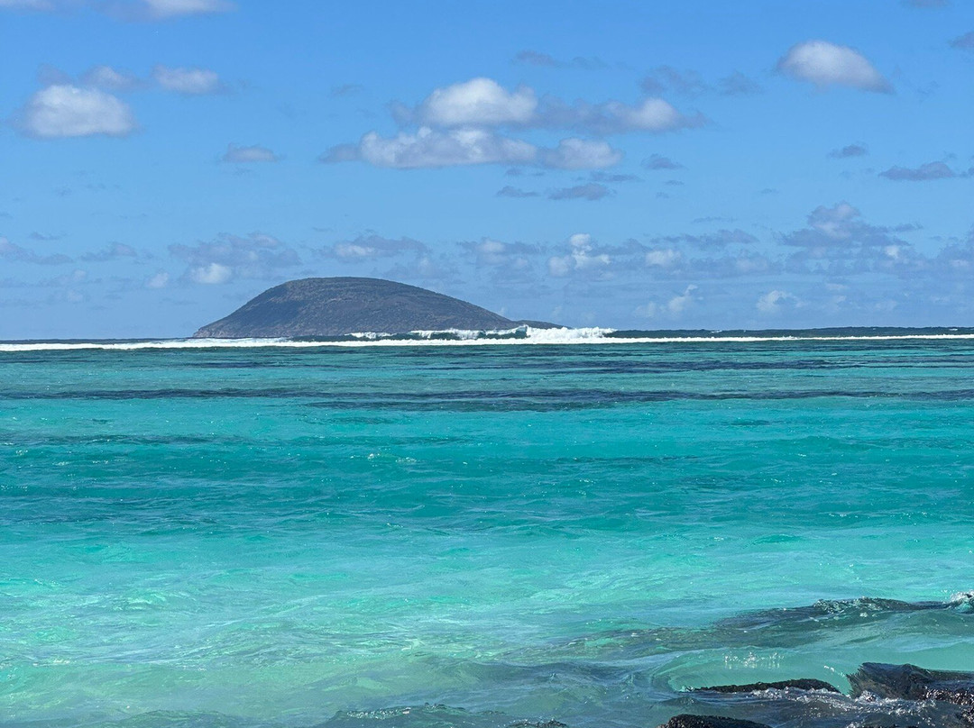 Dreamcatcher Catamaran Tours-开普马欧呵必去景点