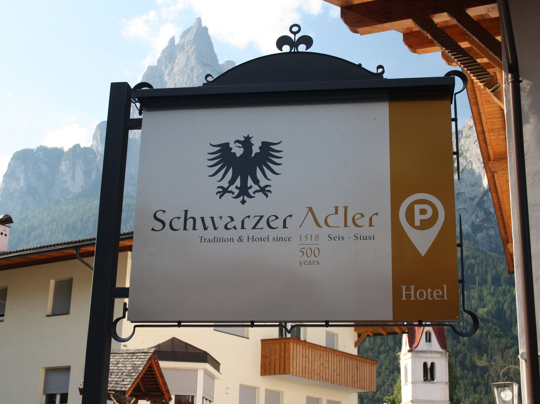 Schwarzer Adler主图