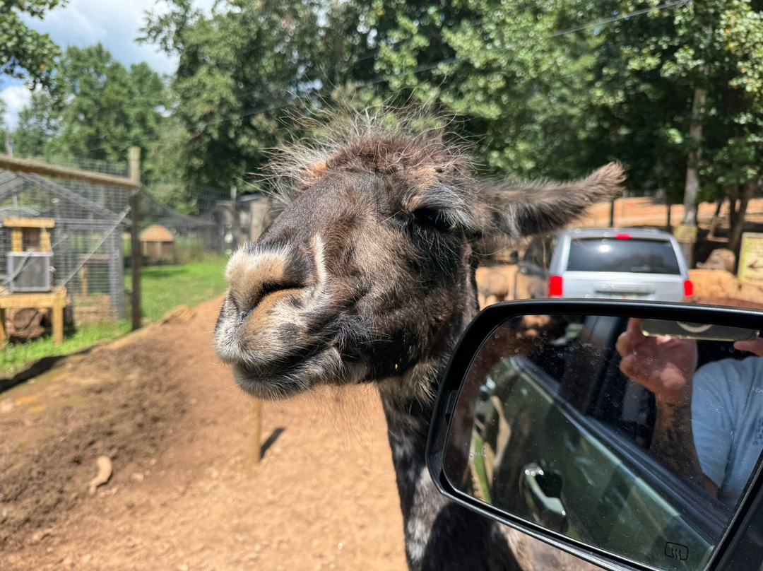 North Georgia Wildlife Park-Cleveland必去景点