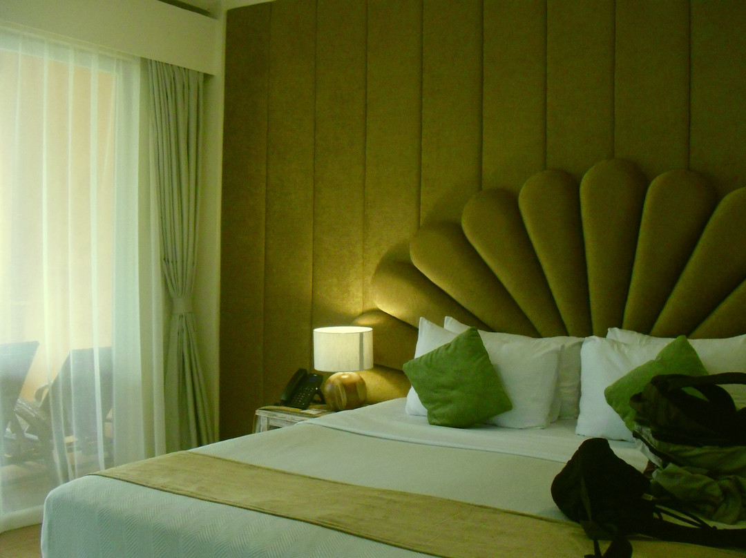 椰树林海滩度假村主图