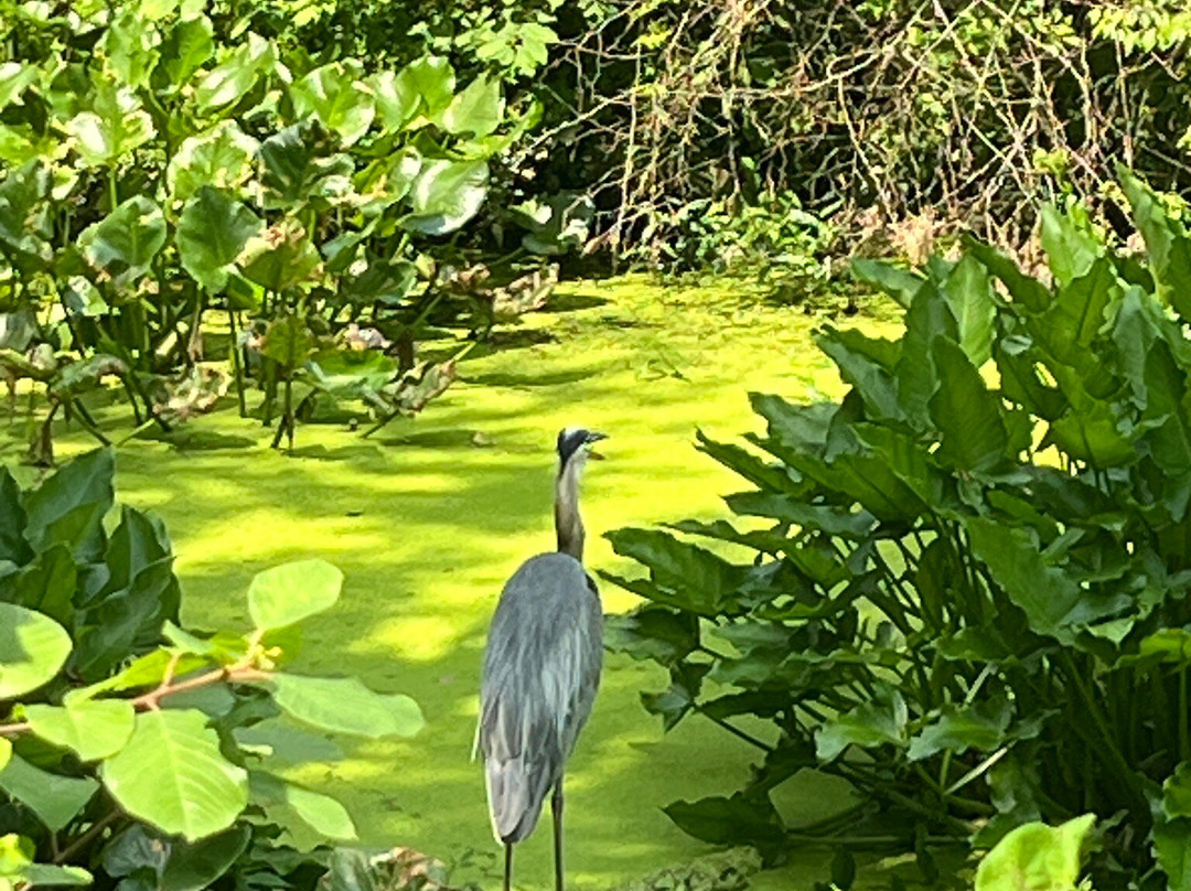 Beaver Marsh-Peninsula必去景点