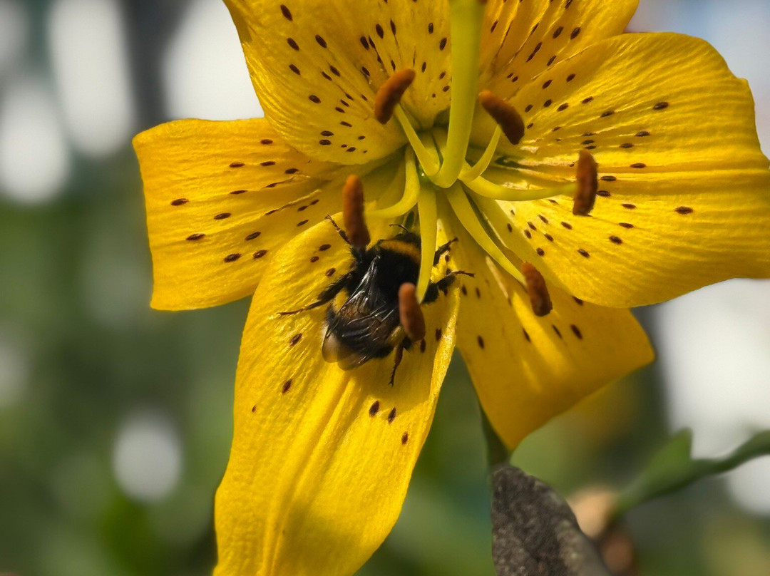 Im Malerwinkel主图