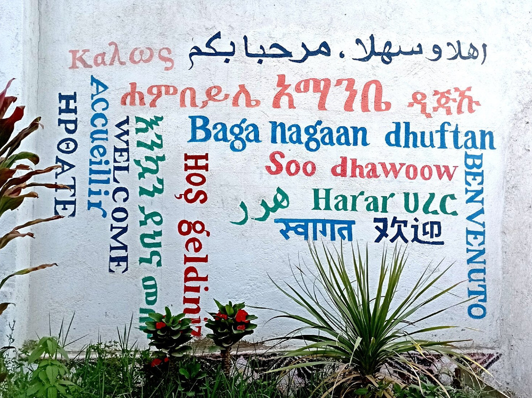 Edom Harar Tours & Car Rentals-哈勒尔必去景点