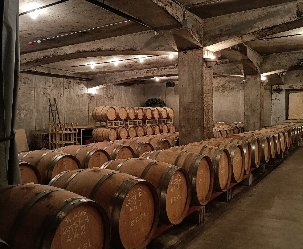 Sadoya Winery-甲府市必去景点