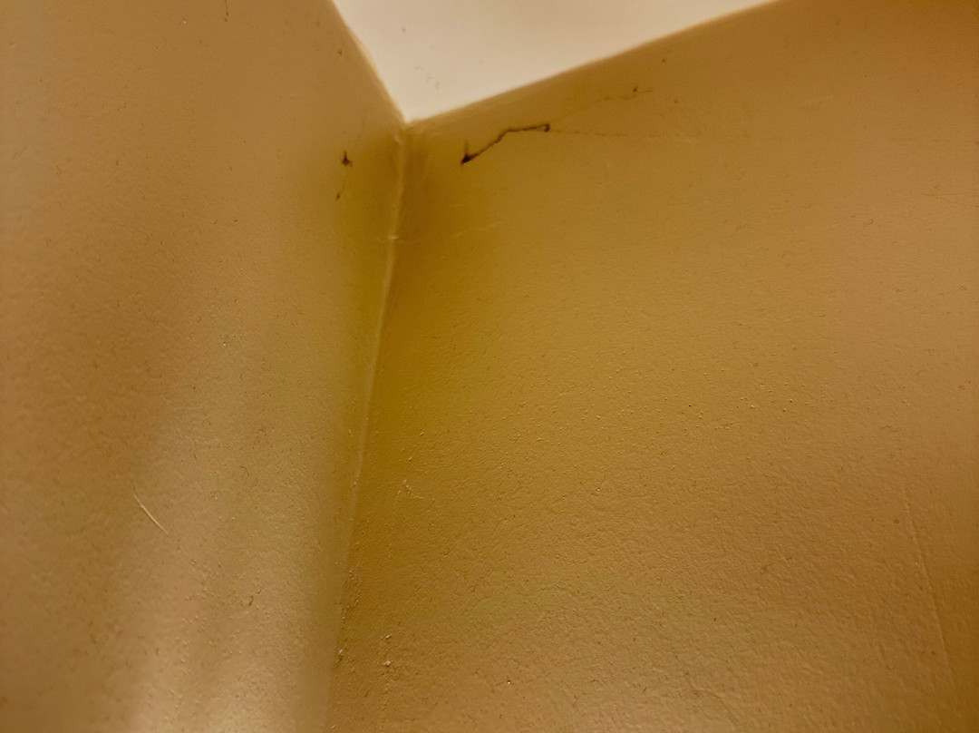 Gasthof Hotel Kirchenwirt主图