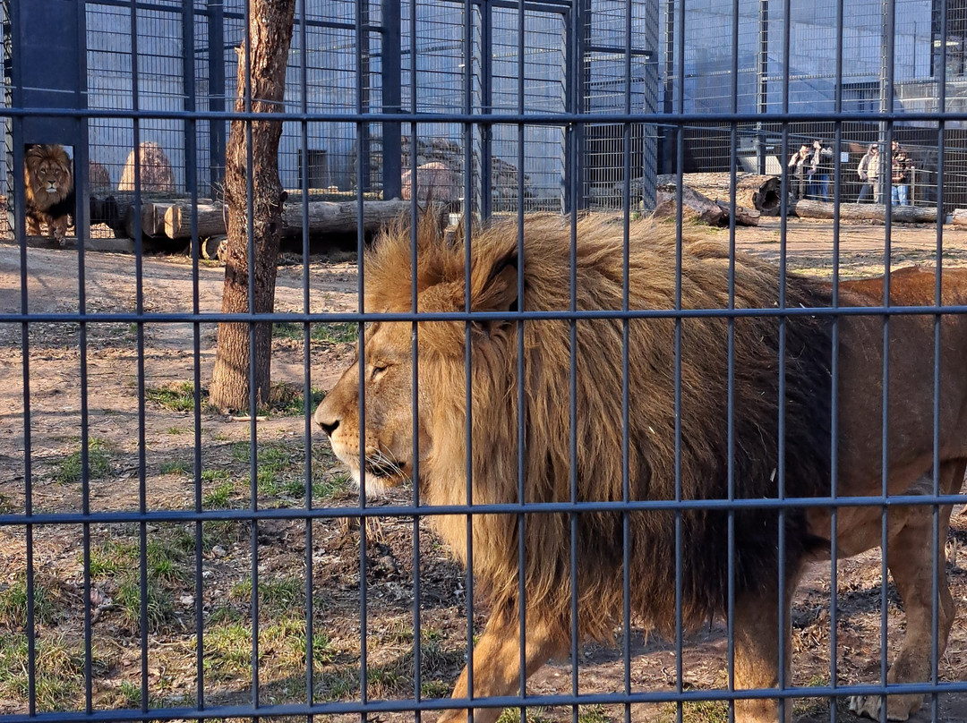 Zoopark Kaunas-考那斯必去景点