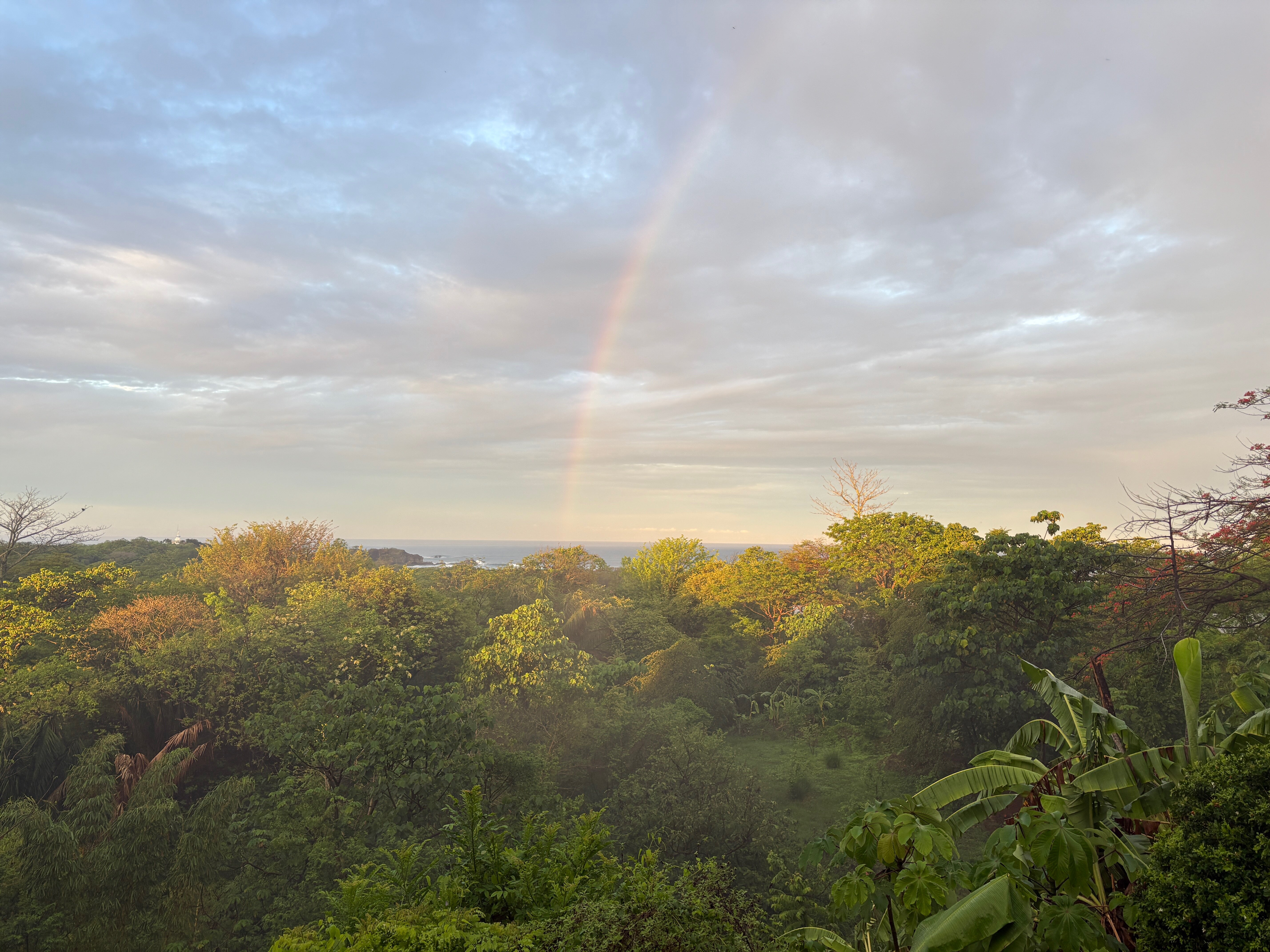 Villa Mango B&B-浴室