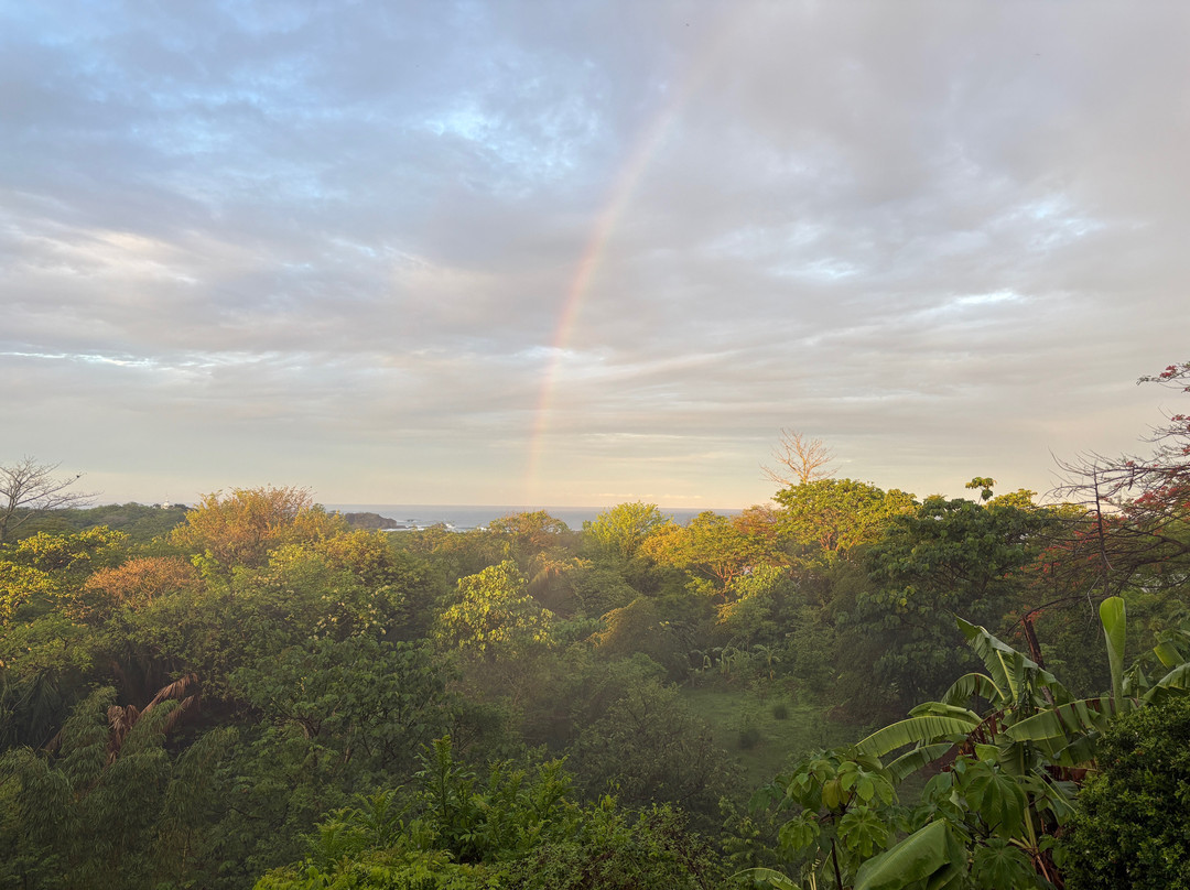 Villa Mango B&B主图