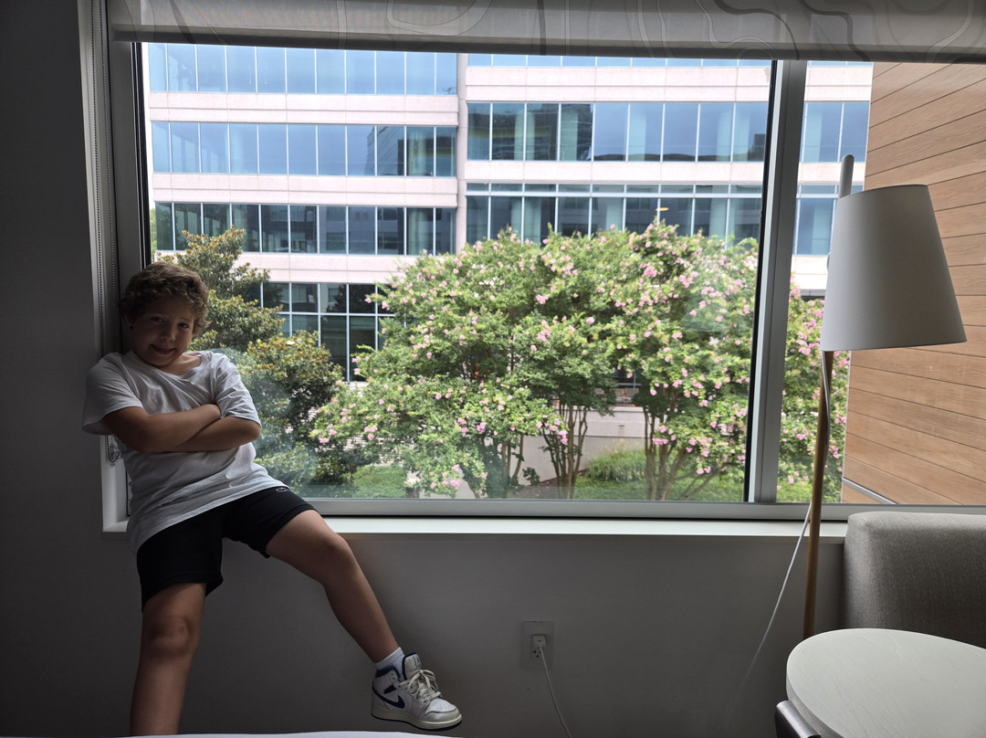 Element Atlanta Buckhead主图