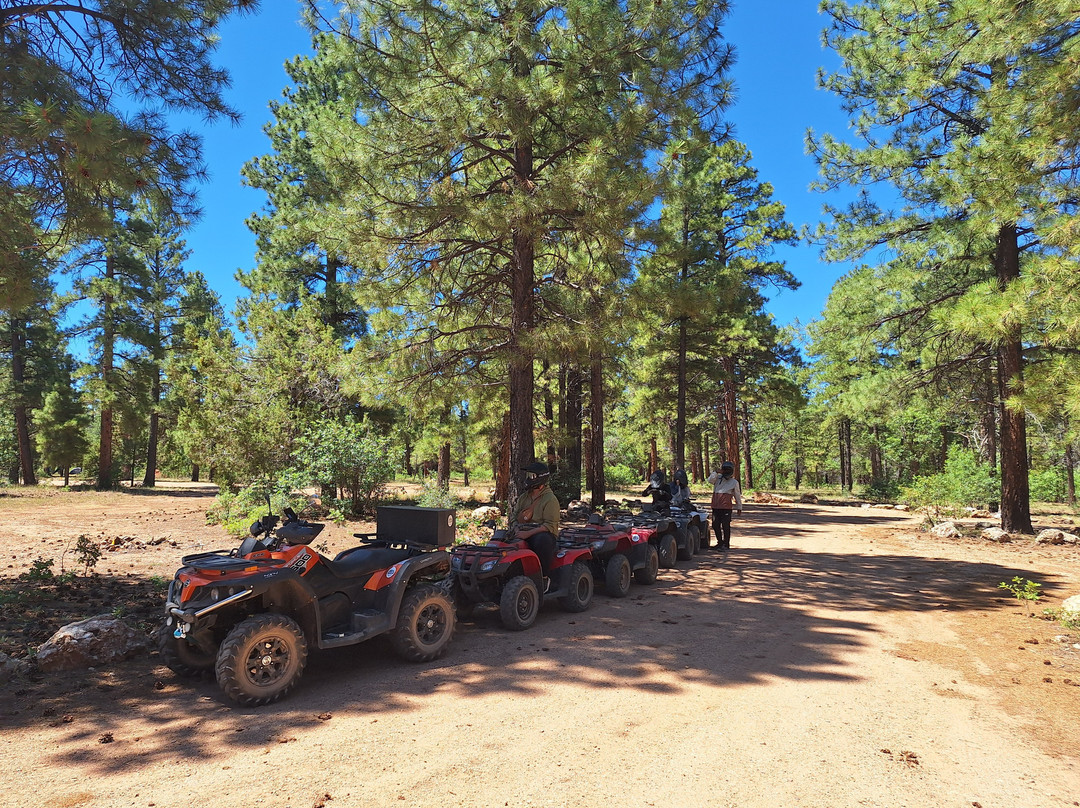 Canyon Off Road Adventures - Guided ATV Tours South Rim-图萨扬必去景点