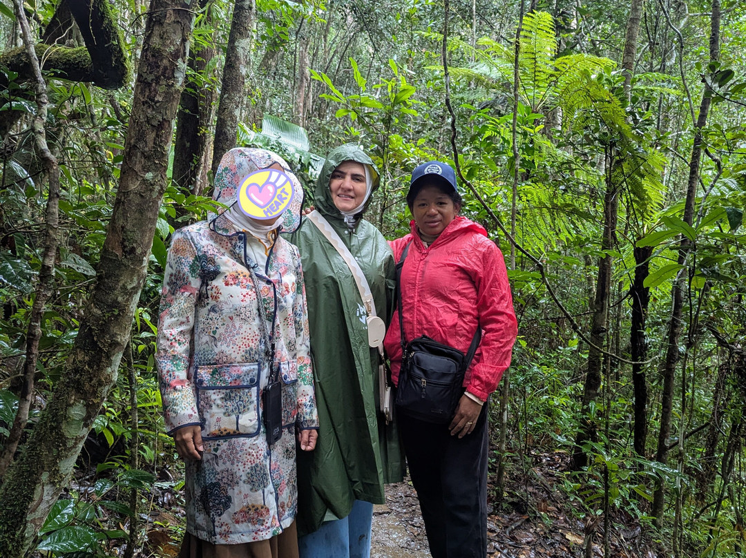 Madagascar Visite Company-安塔那那利佛必去景点