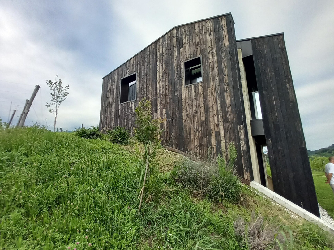 Col del lupo - Produzione e Degustazione Valdobbiadene Prosecco DOCG-Vidor必去景点