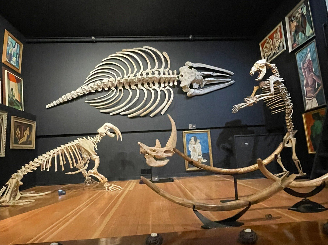 Hand of Man - Museum of Natural History, Cultural Arts & Conservation-邓肯必去景点