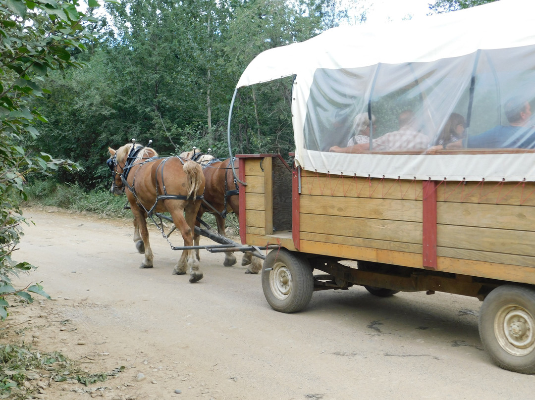 Denali Black Diamond Covered Wagon-Denali Park必去景点