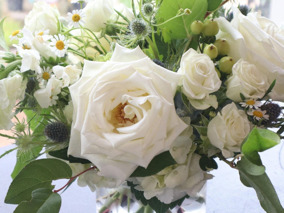 Clay Garden & Gifts Llc-Seagrove Beach必去景点