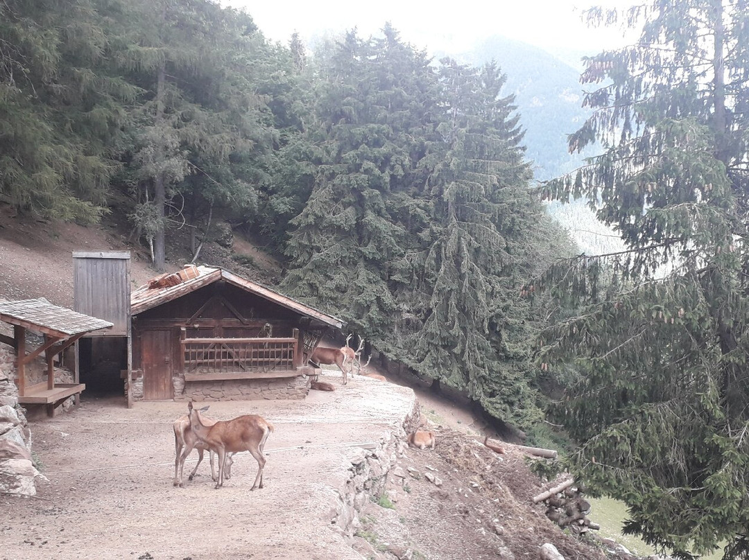 Area Faunistica-Peio Fonti必去景点