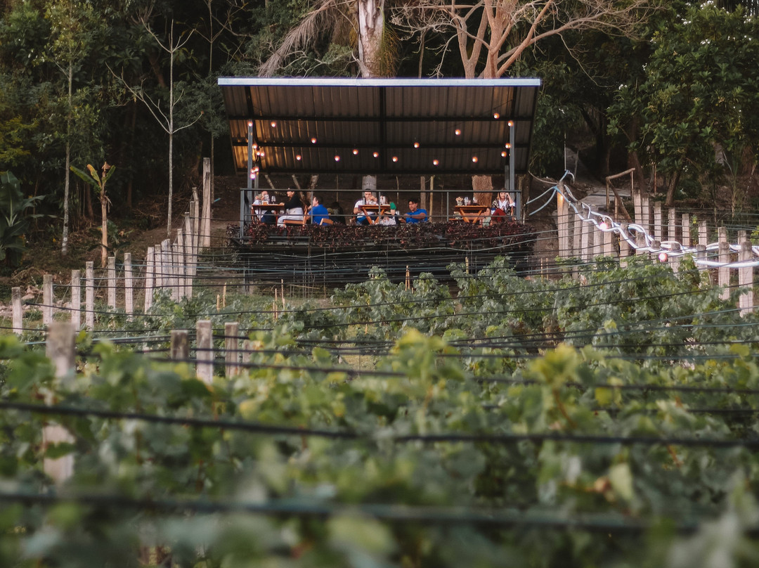 Vinhedo Lacustre-Lago Norte必去景点