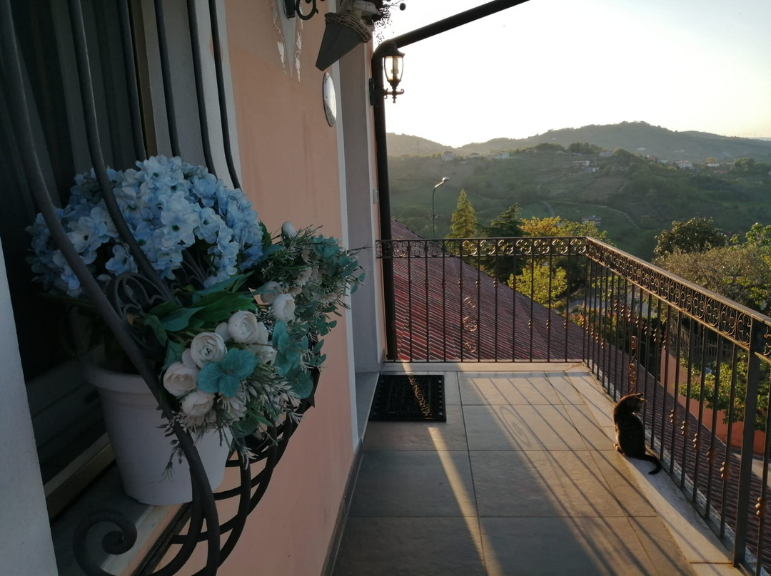 B&B Villa Milena主图