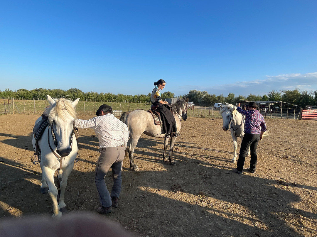 Manade Vitou de Fontmarie-Castries必去景点
