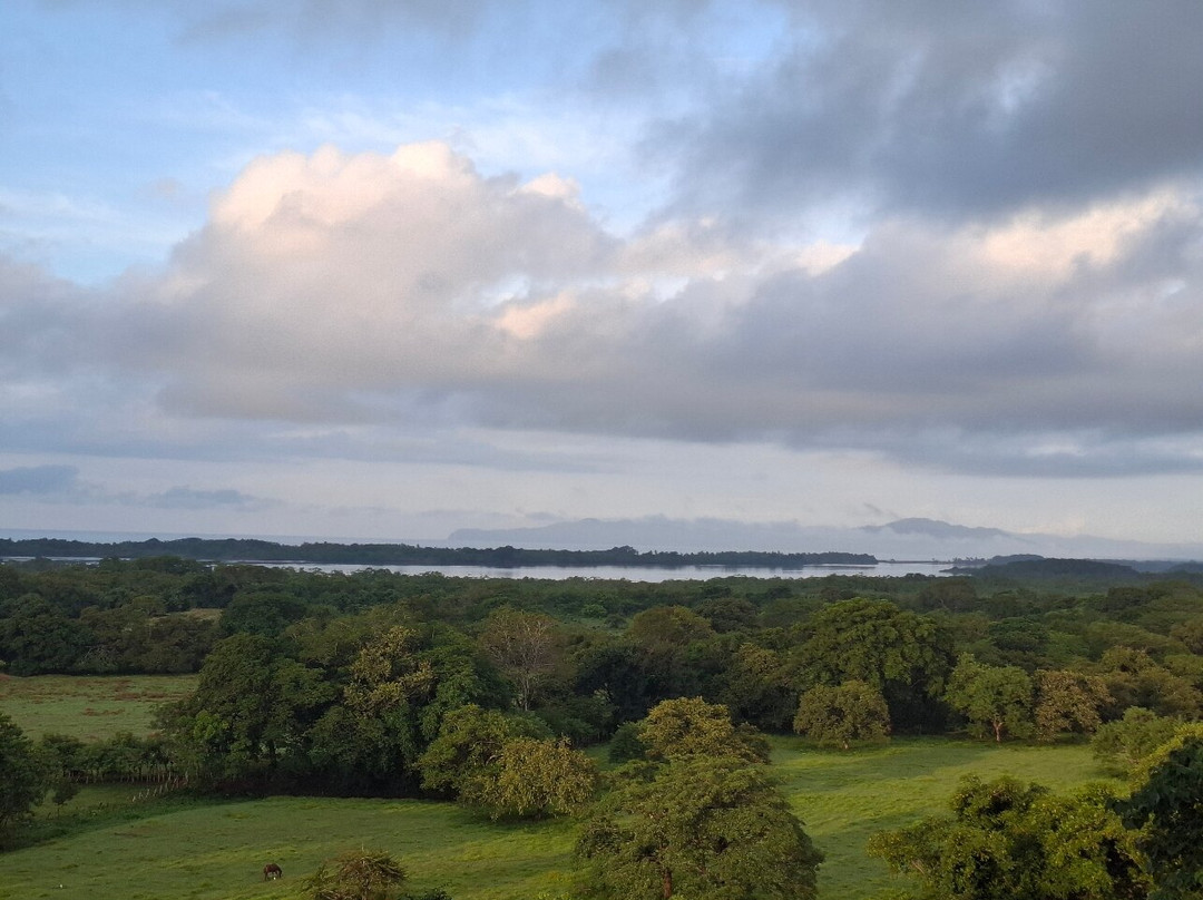 Alaya Panama-Isla de Canas必去景点