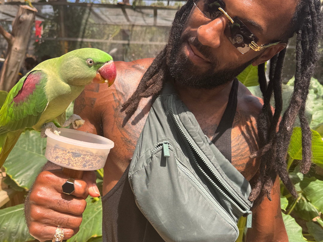 Parotte Ville Bird Sanctuary-圣马丁岛必去景点