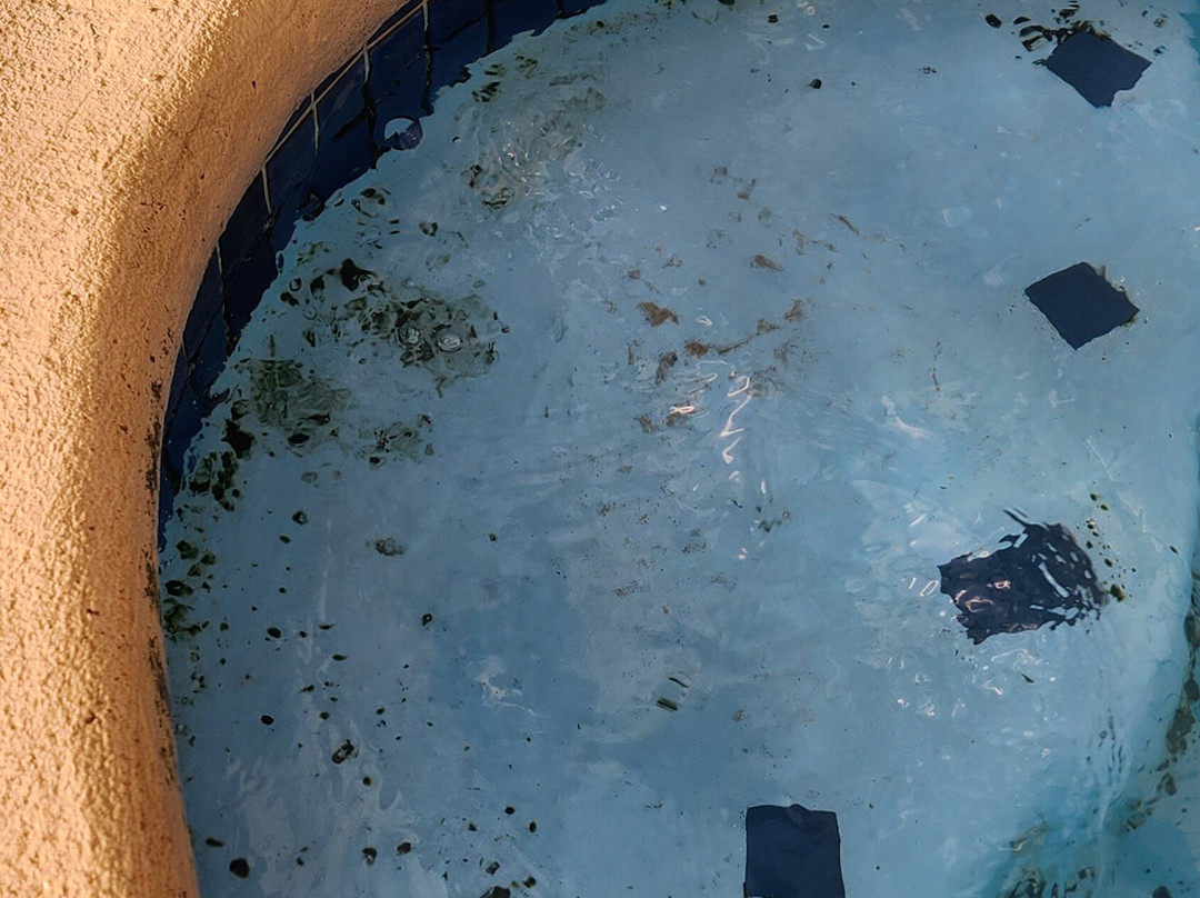 Clarion Inn Surfrider Resort主图