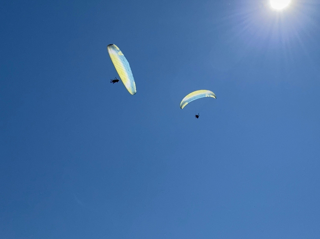 Impulse Paragliding-Mozirje必去景点